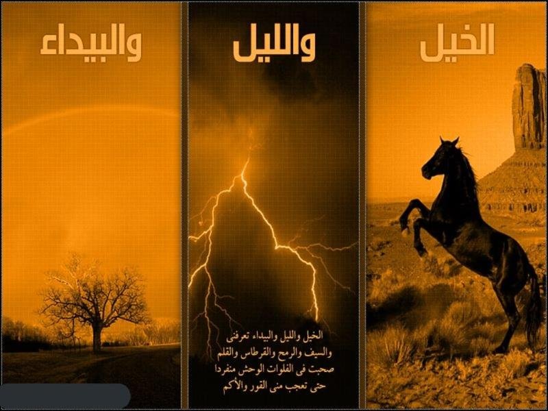 المشاركات الأدبية والشعرية